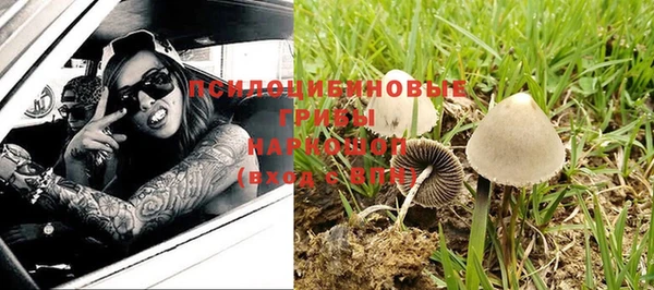 винт Алзамай
